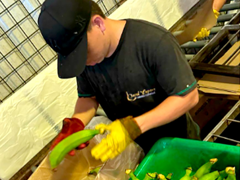 Servicio de Agroempaque