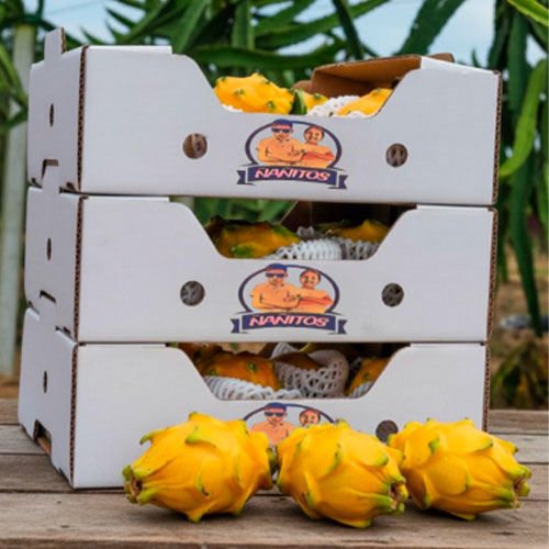 Exportación de Pitahaya